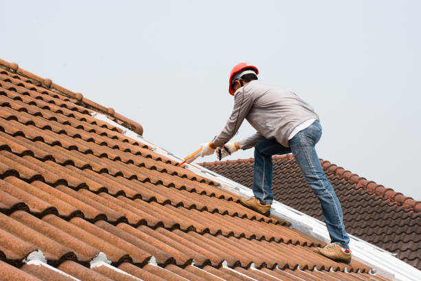 Best Roof Coating and Sealing  in South Riding, VA